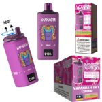 Vapanda 120K Puffs 4in1 Einweg-E-Zigaretten