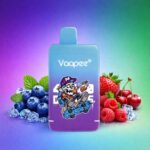 Vaapee Double 45K Puffs Einweg-E-Zigarette